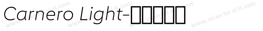 Carnero Light字体转换